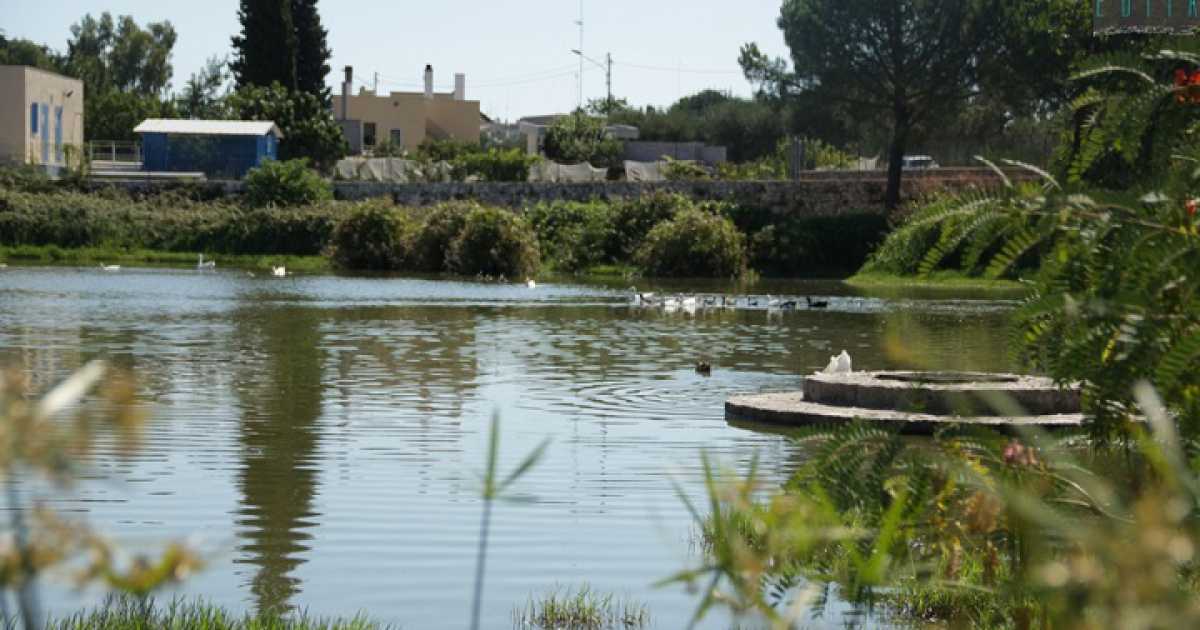 Conversano, gli irrisolti e terribili delitti della masseria e del laghetto